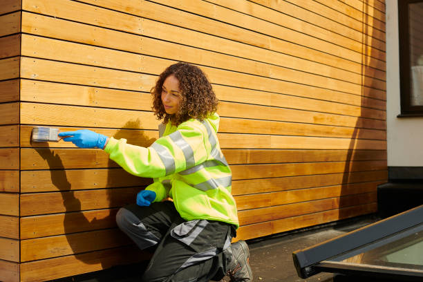 Affordable Siding Repair and Maintenance Services in Winfield, IL
